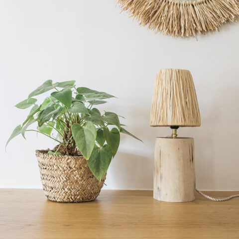 Petite Lampe en Bois d’Eucalyptus