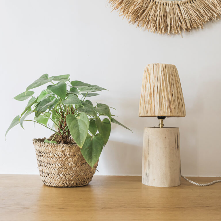 Petite Lampe en Bois d'Eucalyptus 1 653A9694