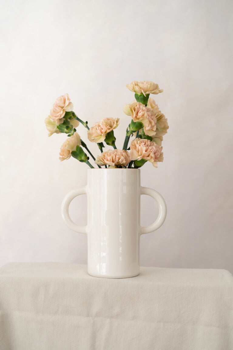 Oustao MarjorieManfre 84 scaled 1