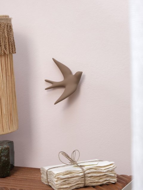 L’hirondelle Volage Terre Brune